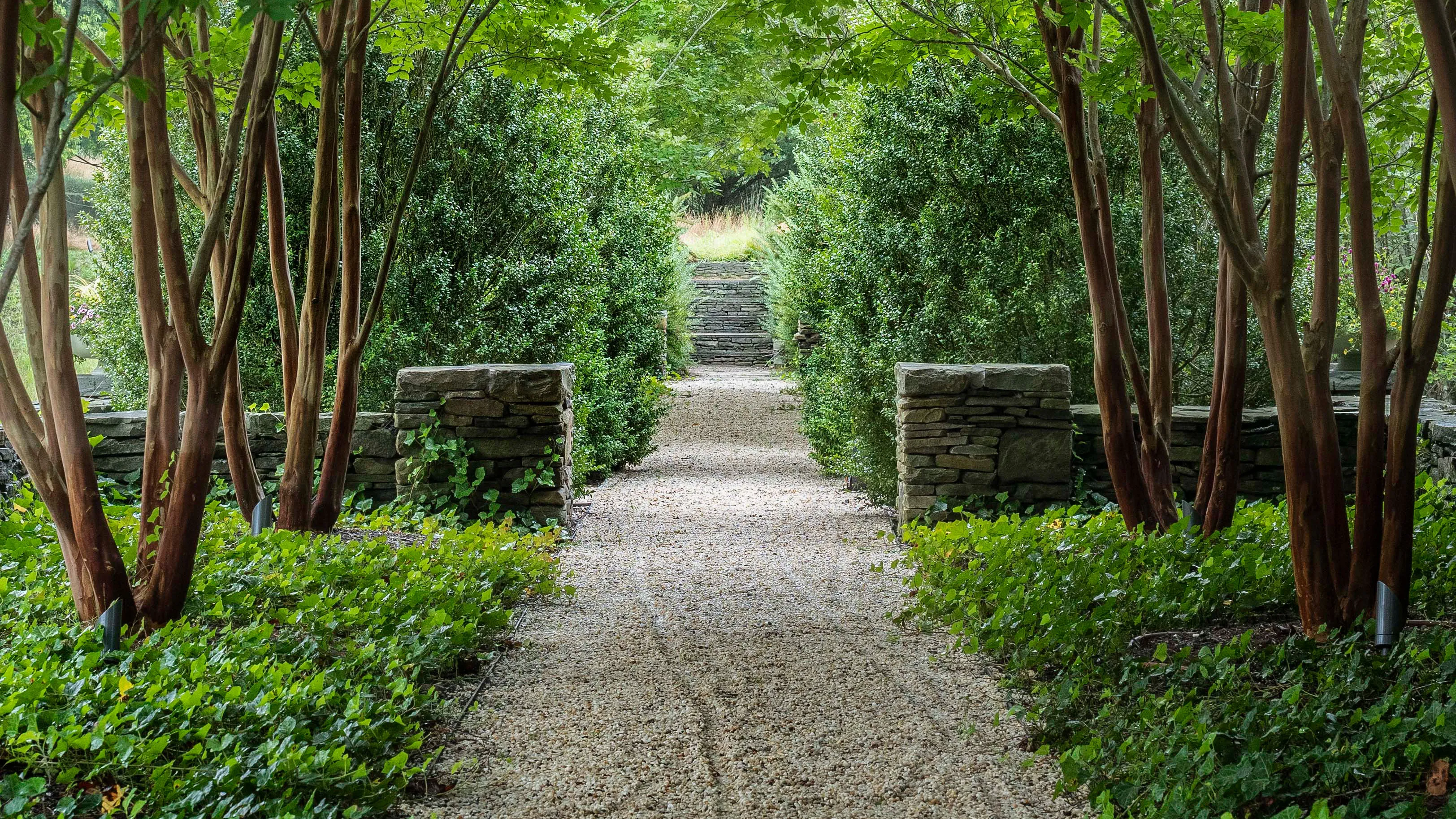 Garden pathway connecting planted areas with carefully planned landscape structure