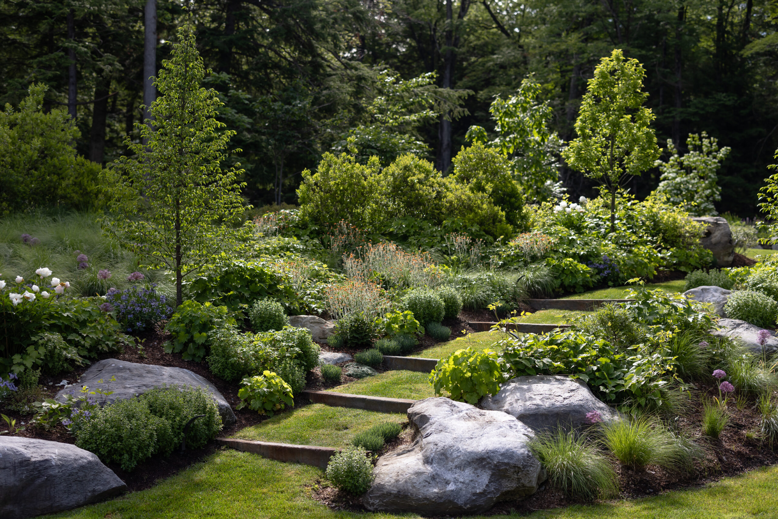 Thoughtfully arranged planting beds with ornamental plants and garden textures