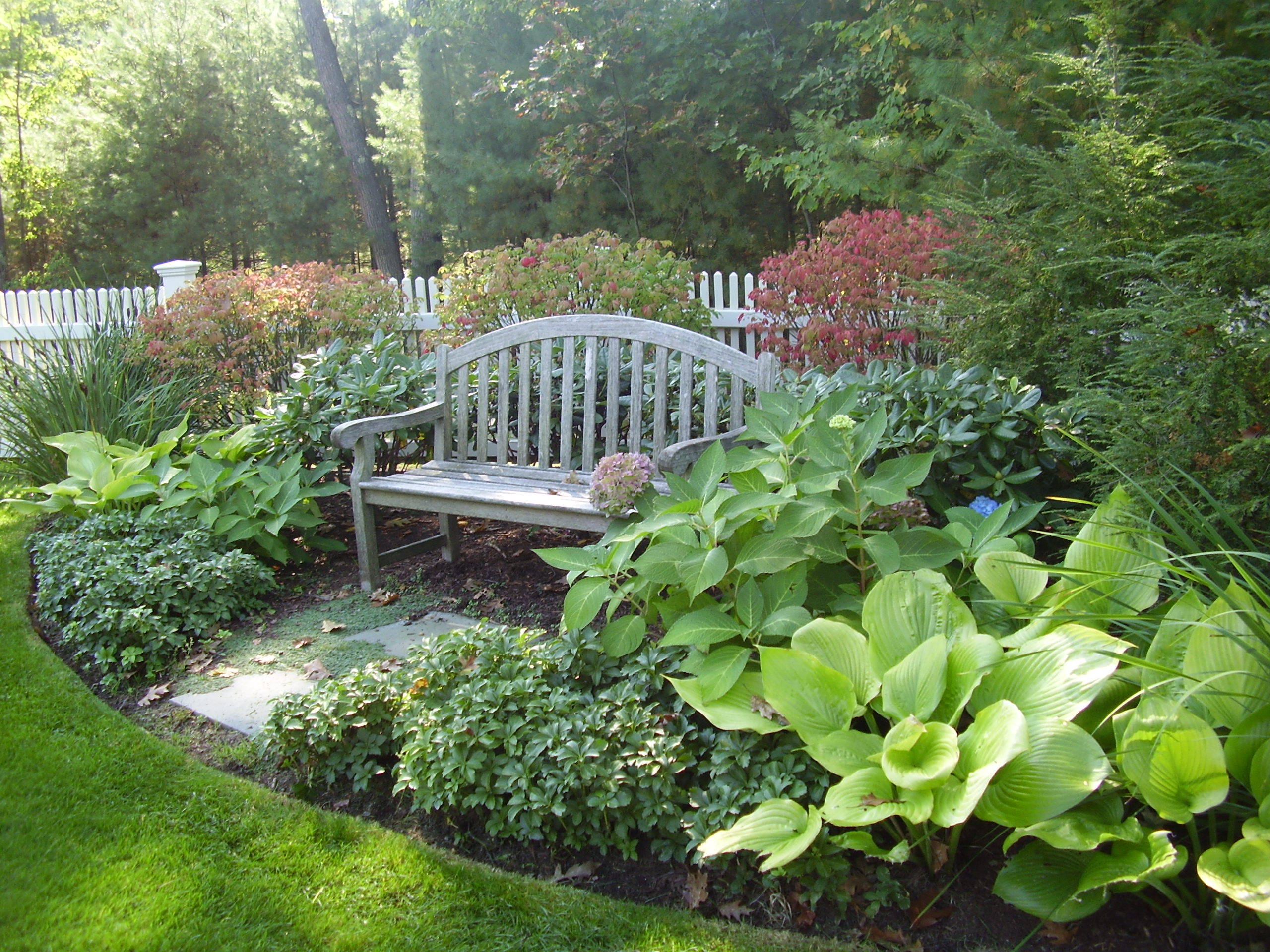 Illustrated garden landscape with planting, pathways and carefully arranged outdoor features