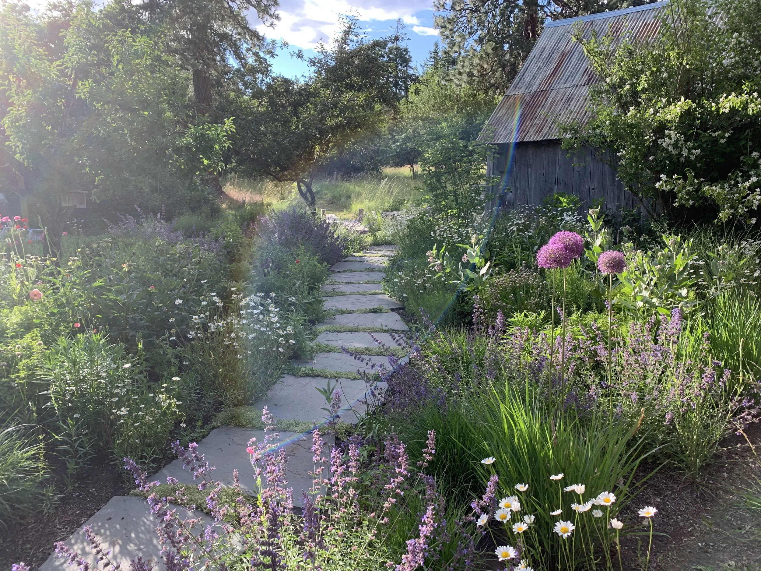 Landscape designer planning planting beds and outdoor garden composition